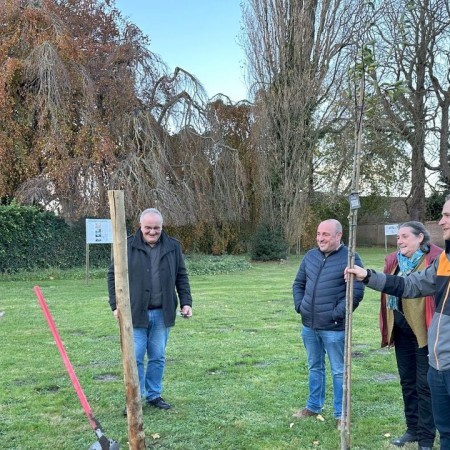 Planten van de Suprême de Perck in de tuin van de Pastorie te Perk - Heemkring Ter Ham Steenokkerzeel 